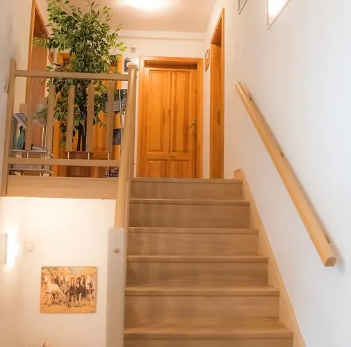 Felicity 3* Nova Lesna